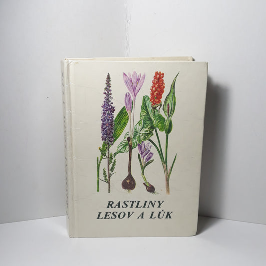 Rastliny lesov a lúk