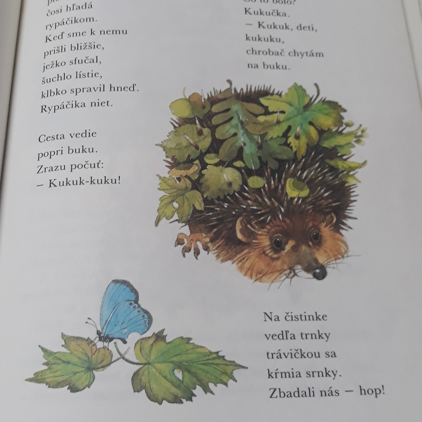 Klásky