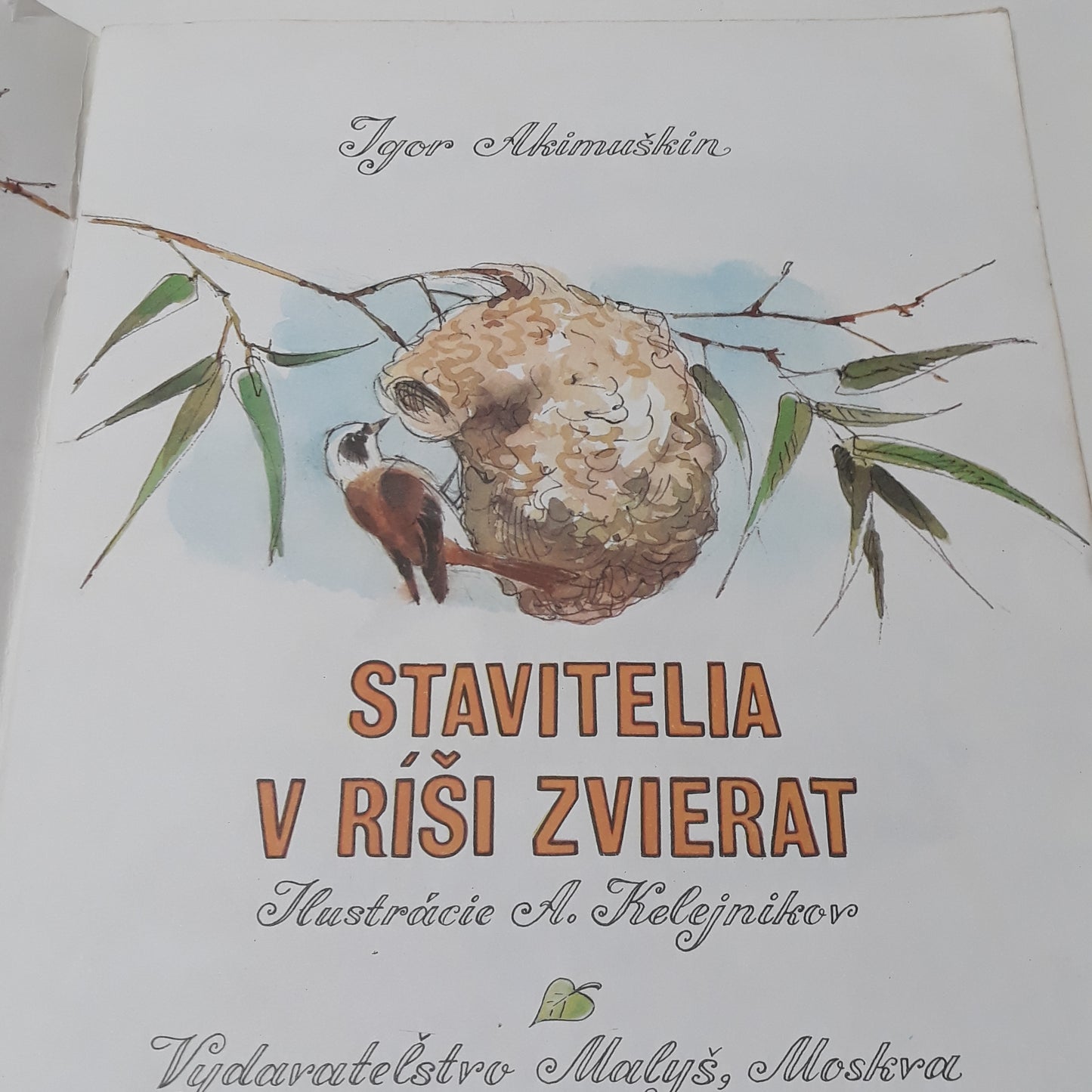 Stavitelia v ríši zvierat