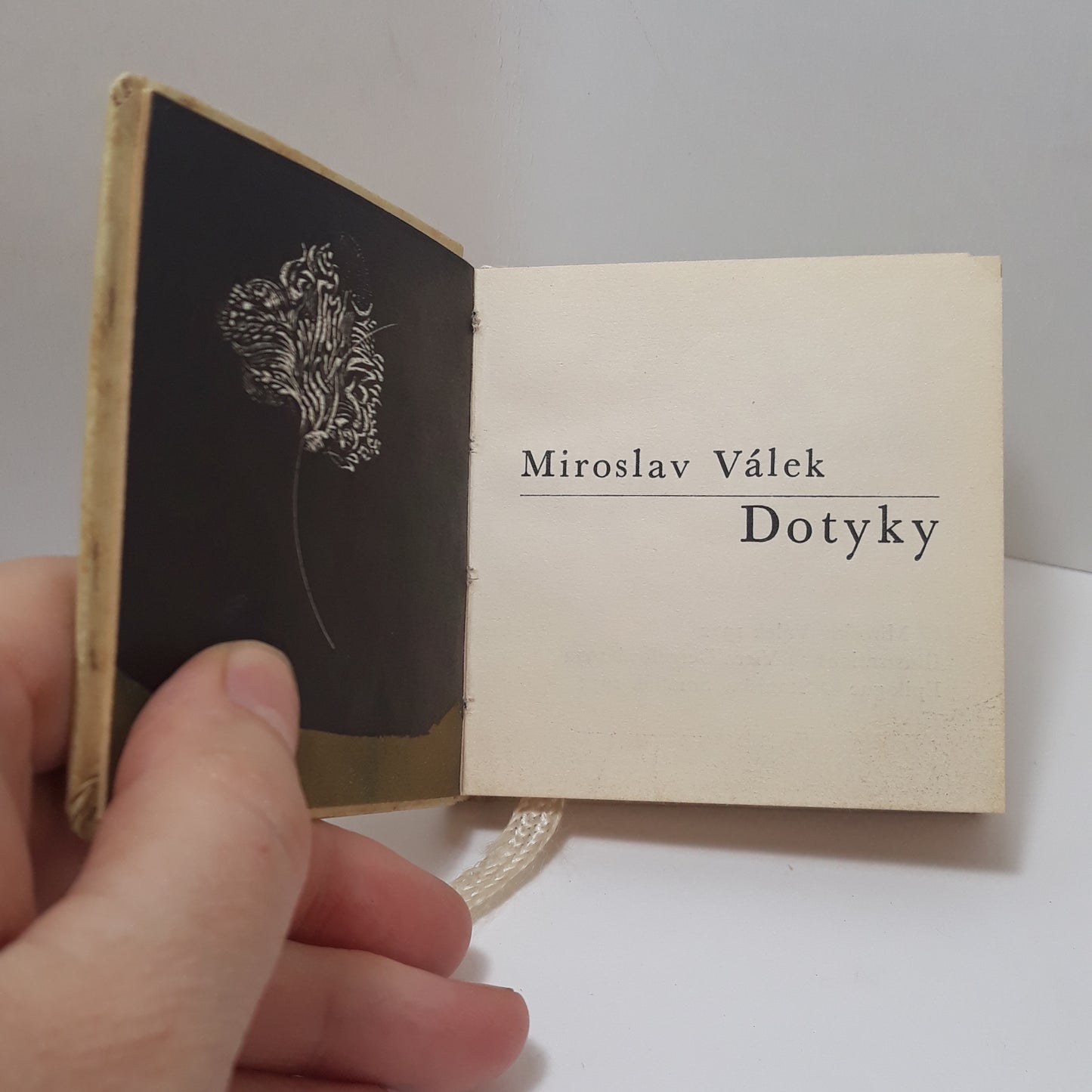 Dotyky