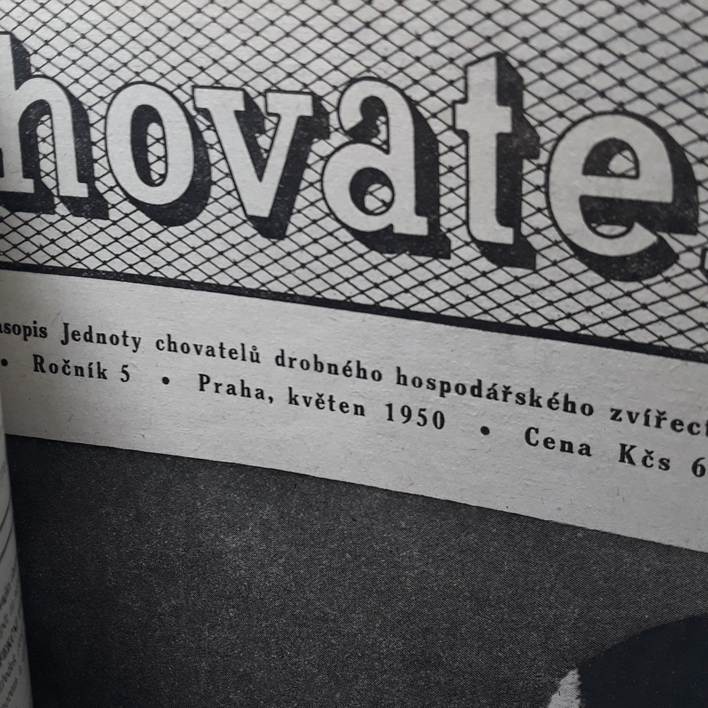 Chovatel 1950