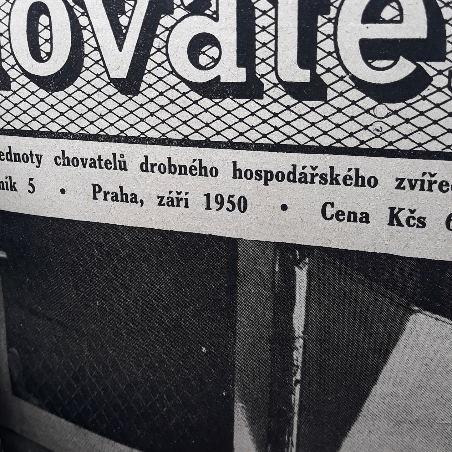 Chovatel 1950