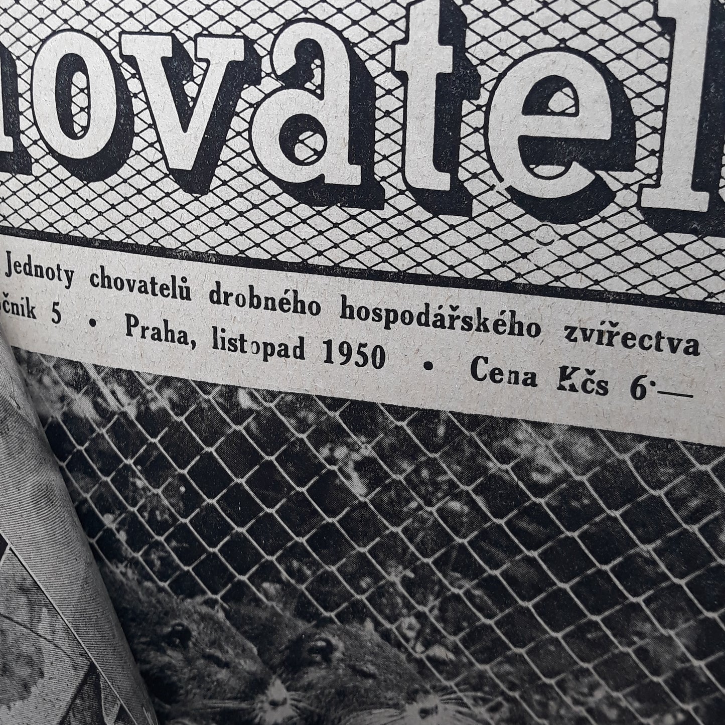 Chovatel 1950
