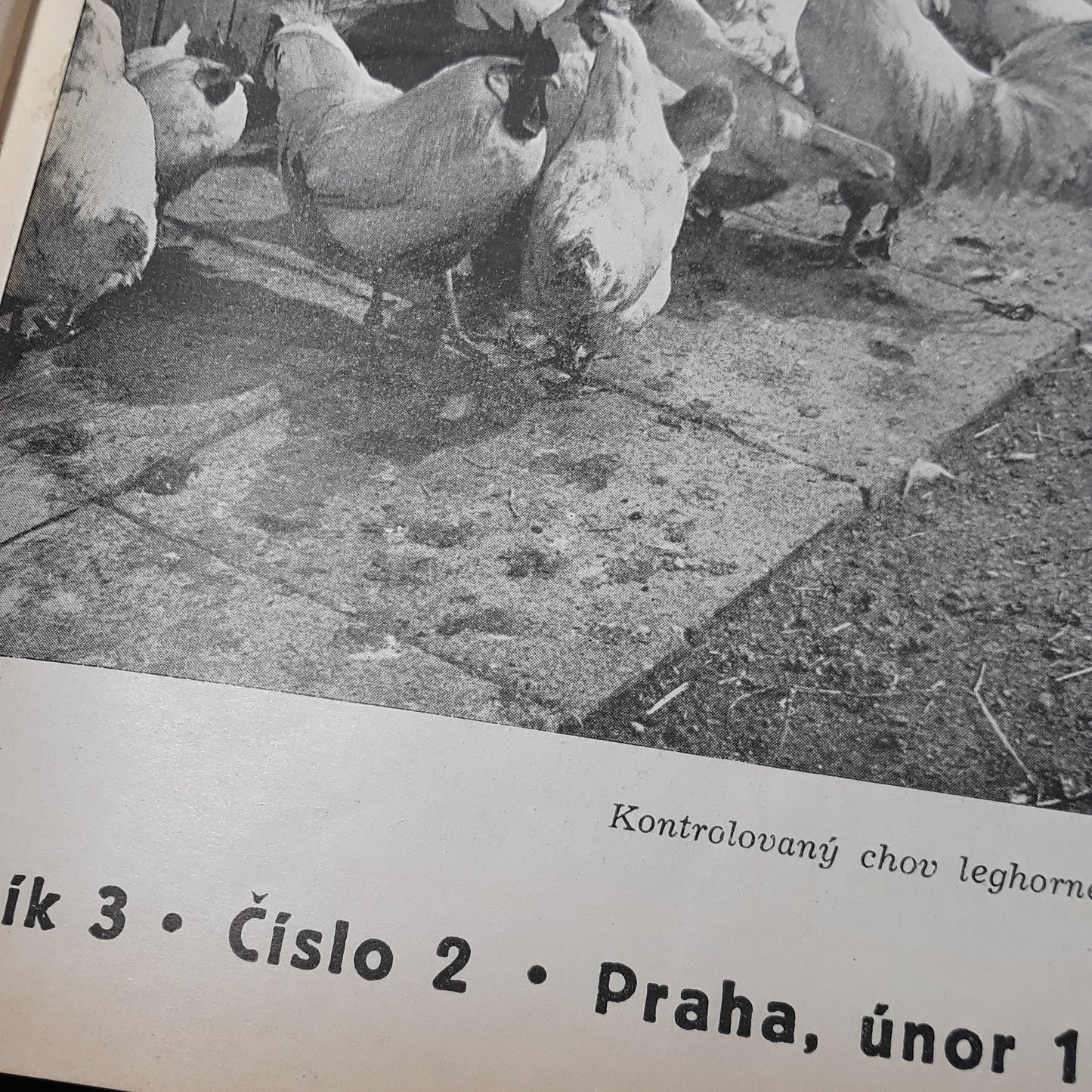 Chovatel 1948