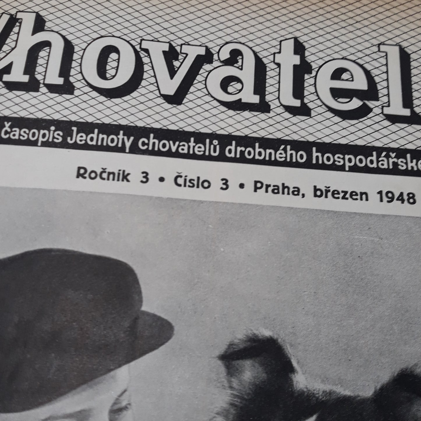 Chovatel 1948