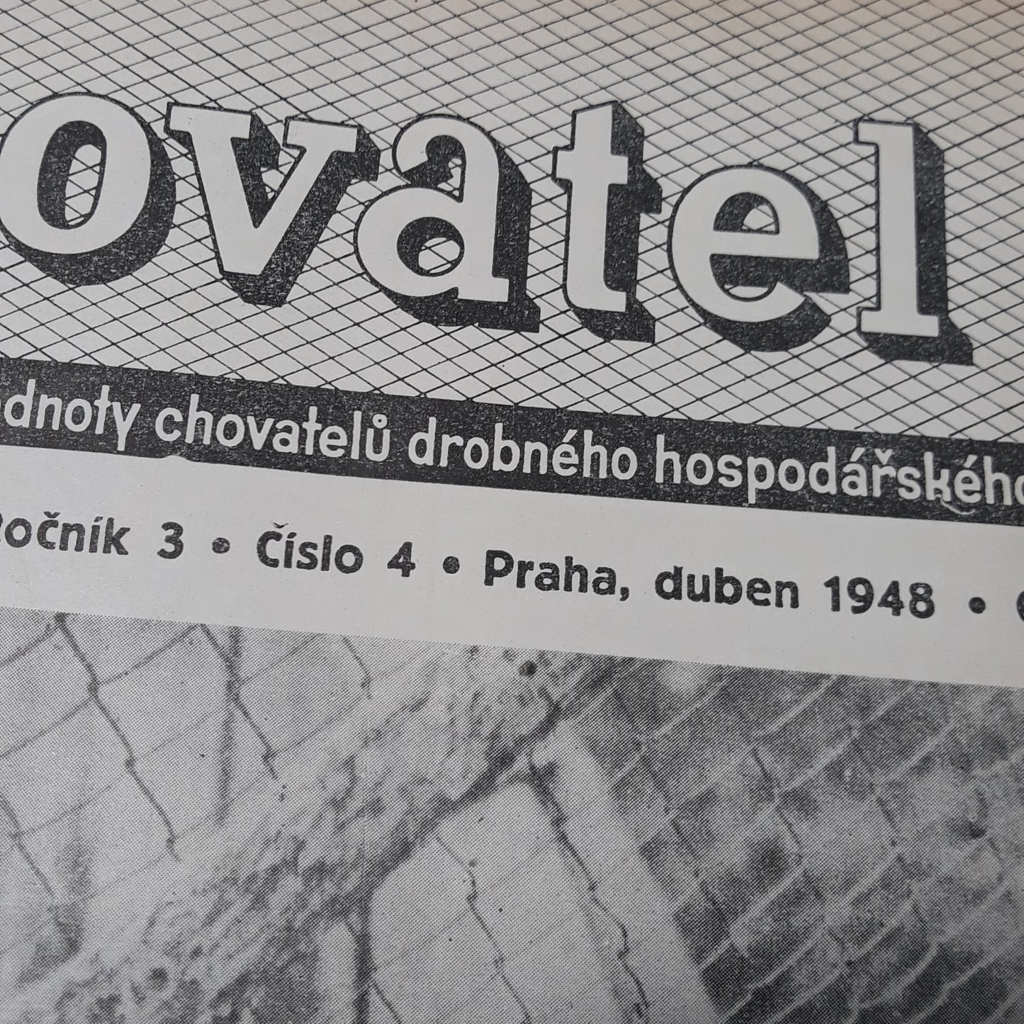 Chovatel 1948