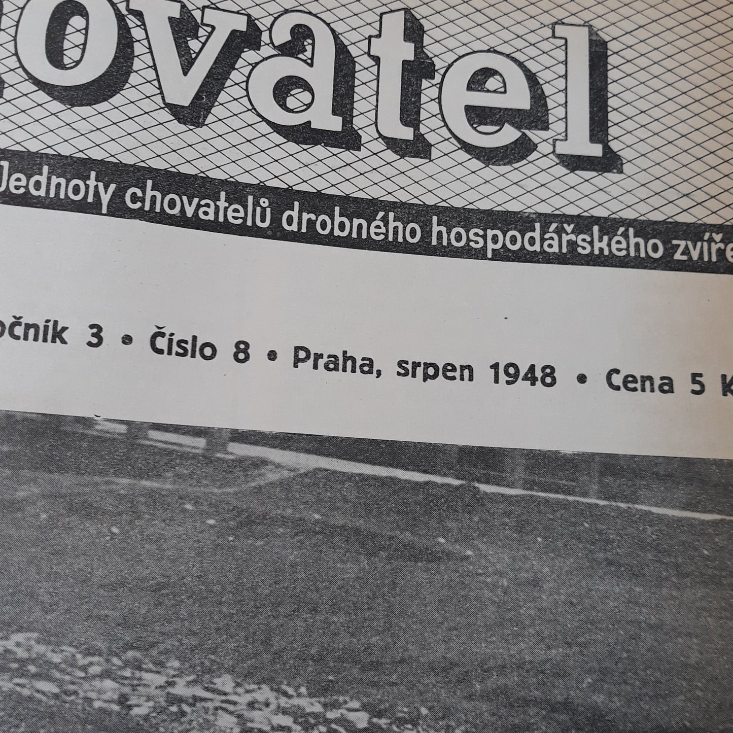 Chovatel 1948