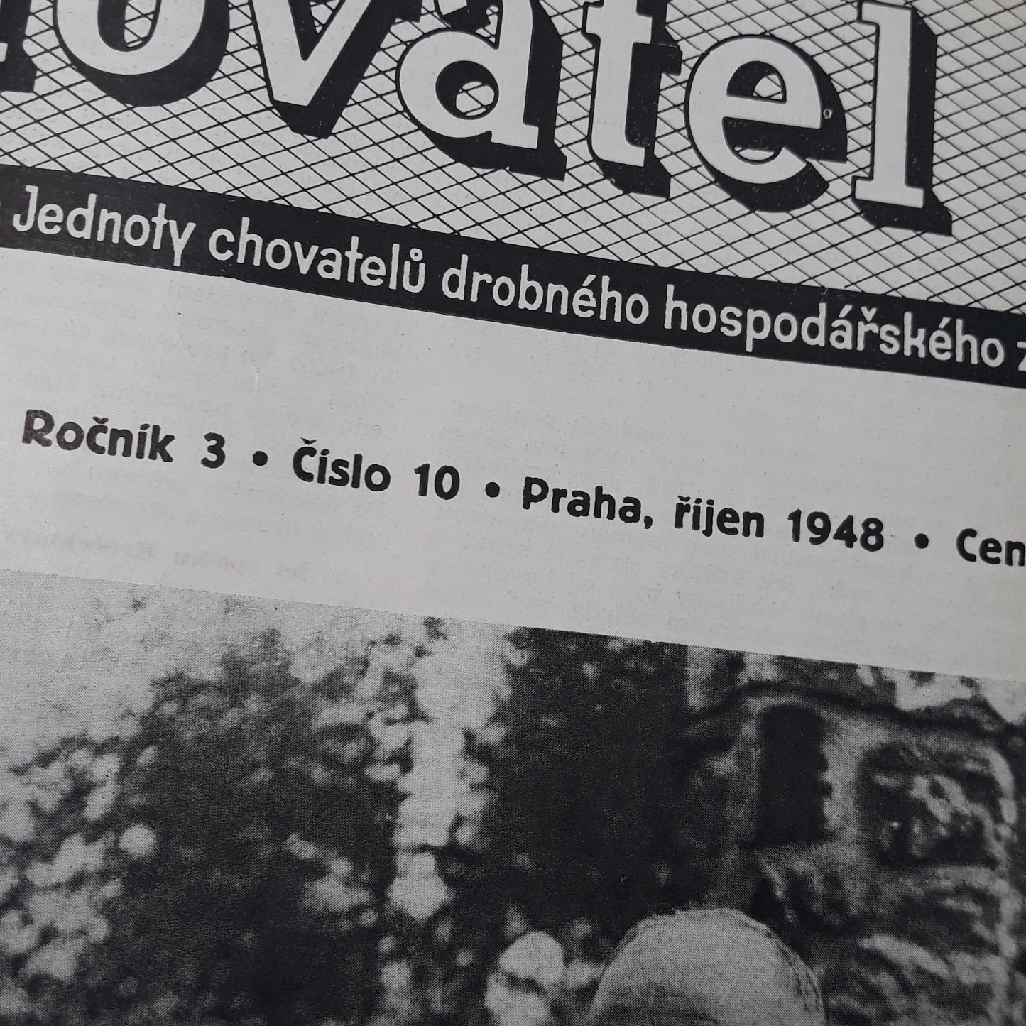 Chovatel 1948