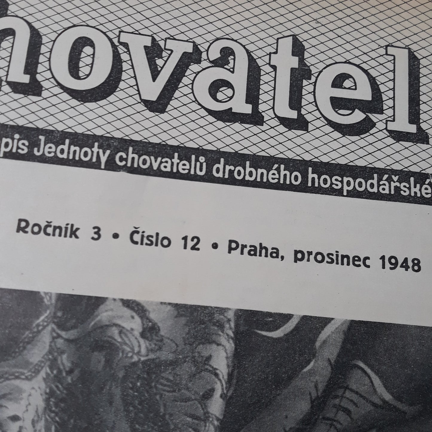 Chovatel 1948