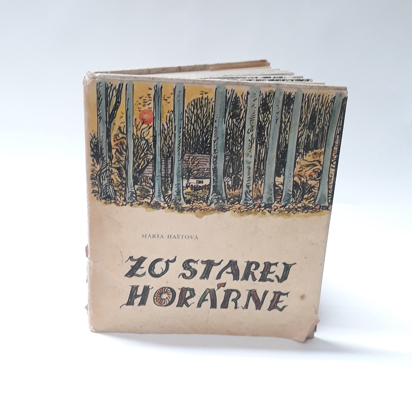 Zo starej horárne
