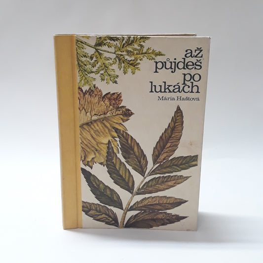 Až půjdeš po lukách