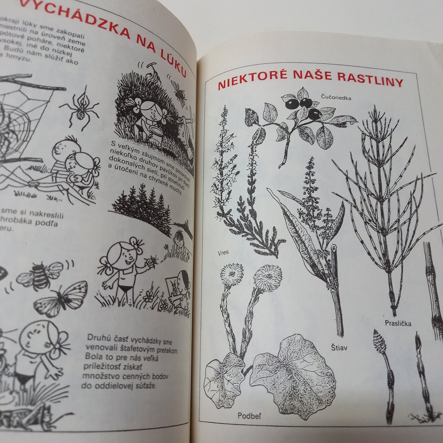 Pionierske tábory ROH
