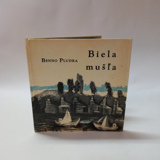 Biela mušľa
