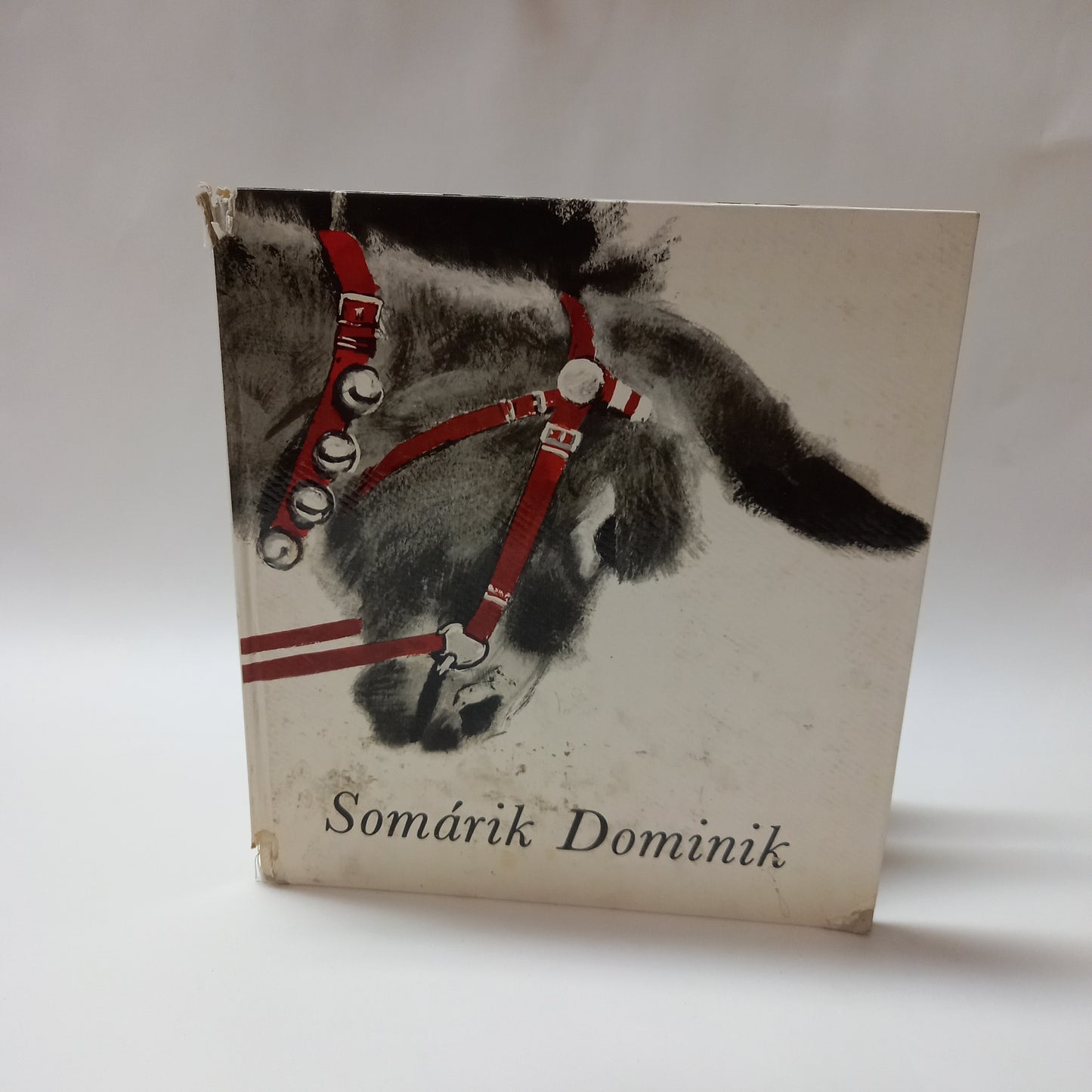 Somárik Dominik