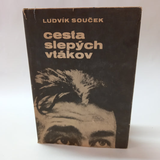 Cesta slepých vtákov