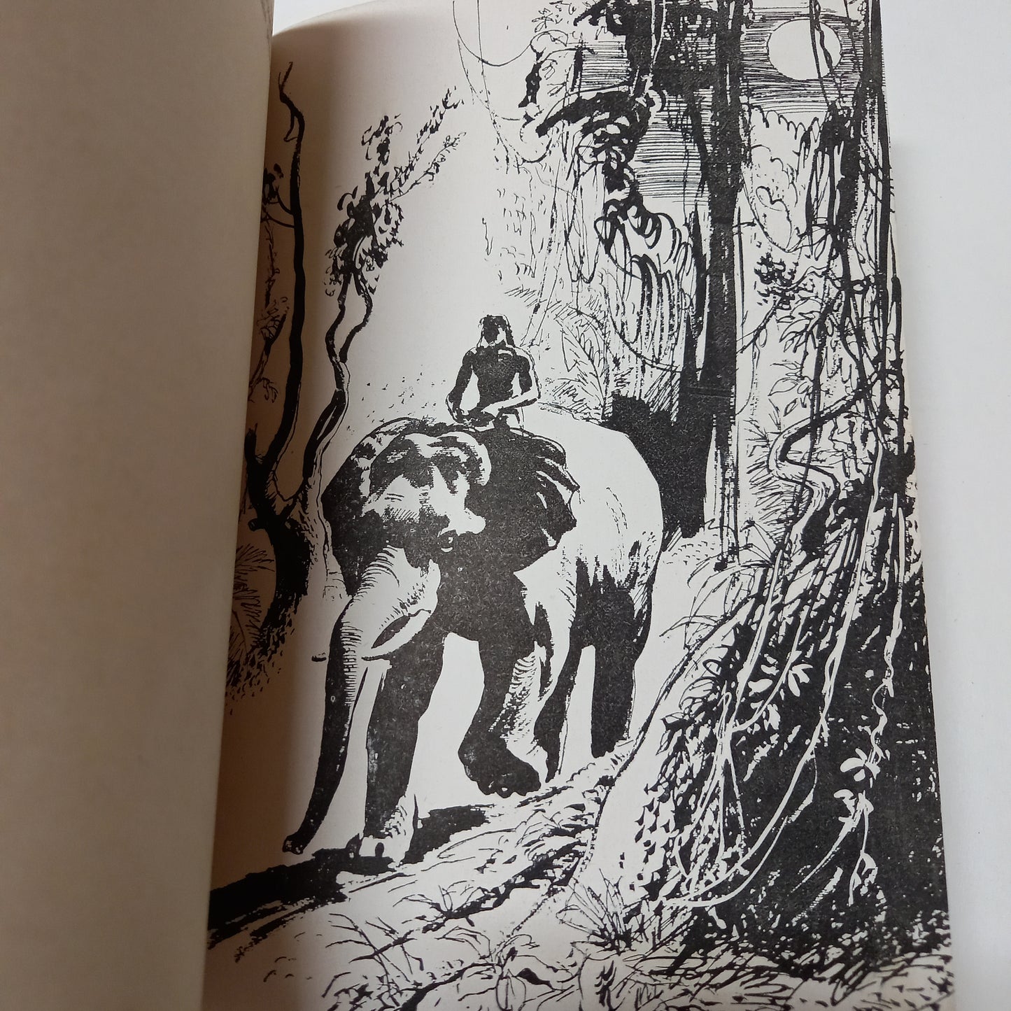 Tarzan