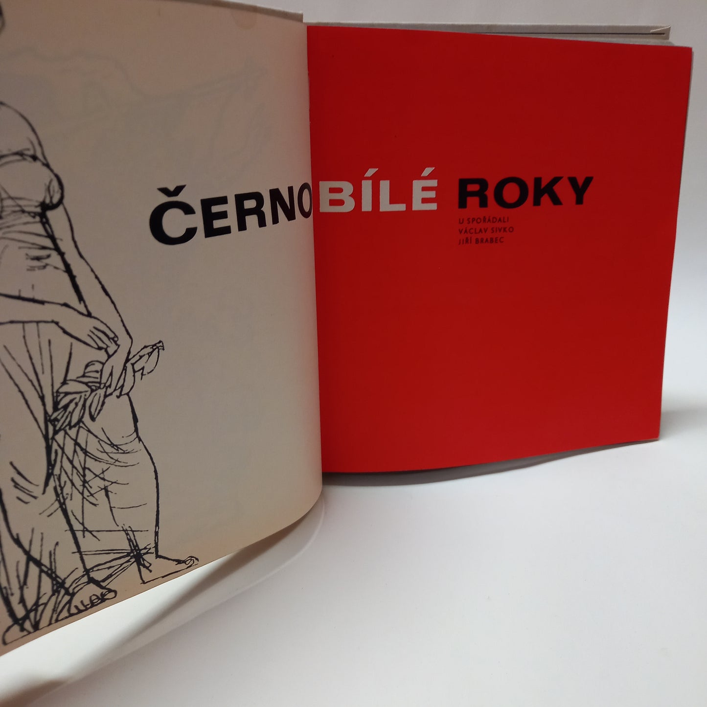 Černobílé roky