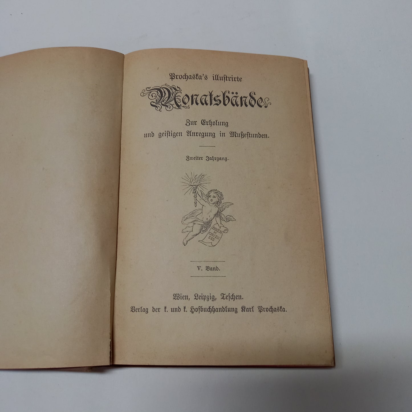 Prochaska's Illustrirte Monats Bända V