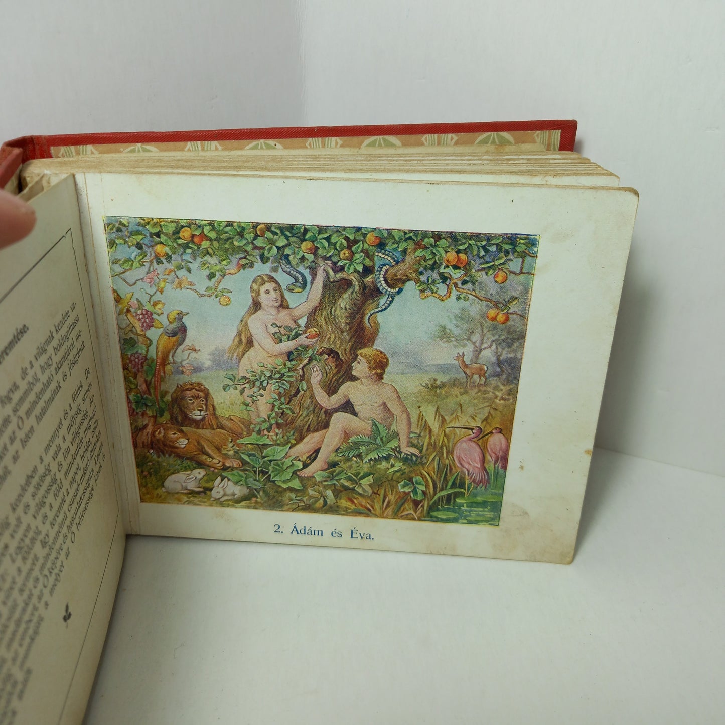 Képes Biblia