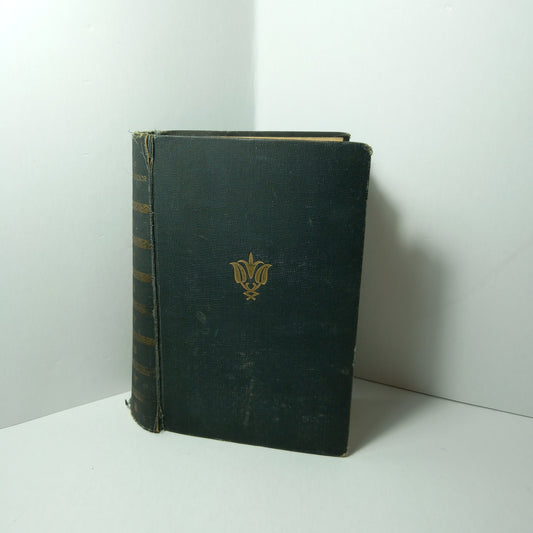 Lángoló csipkebokor