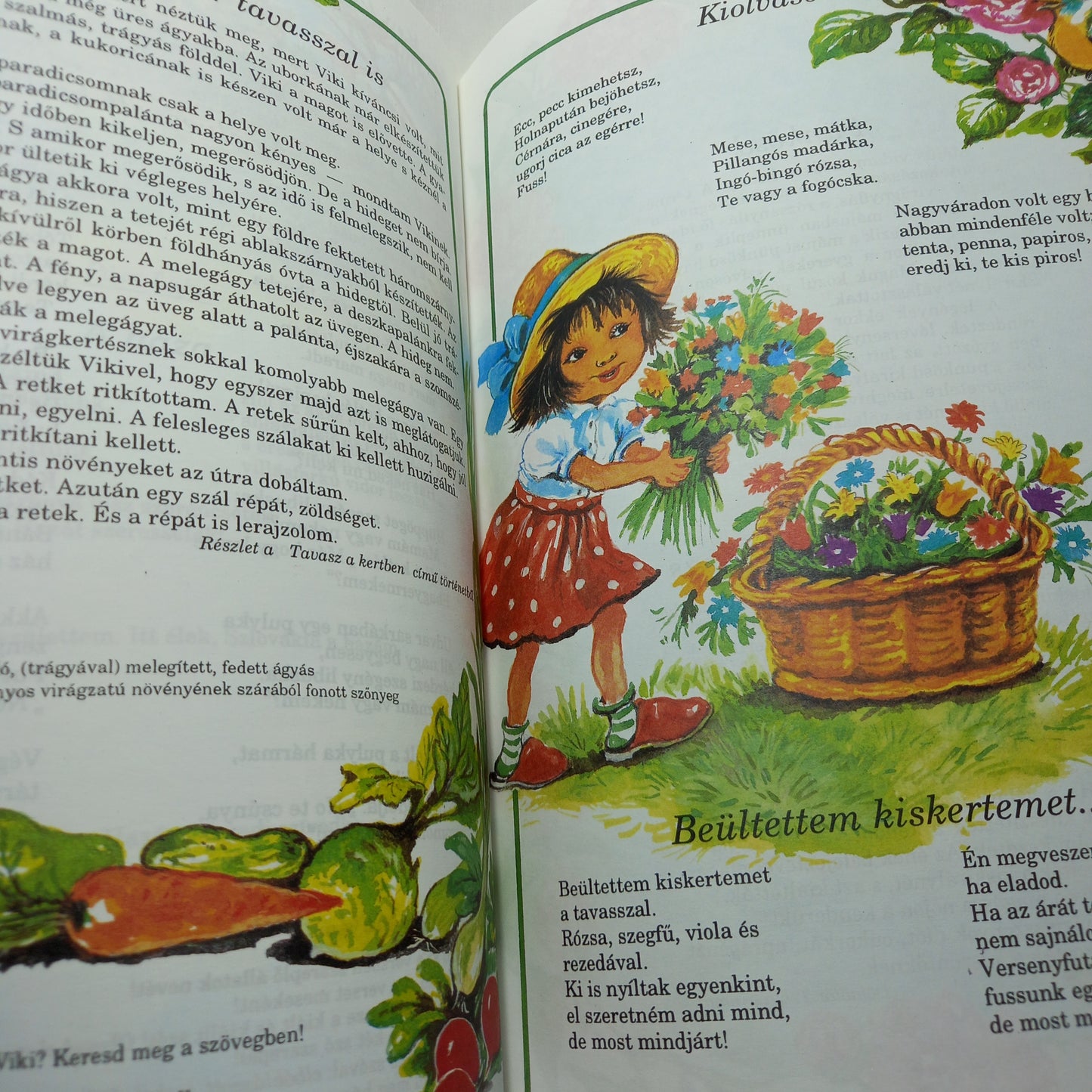 Olvasókönyv 2.rész