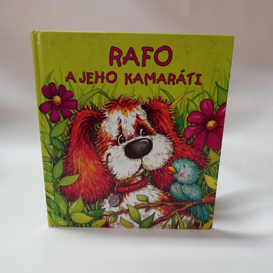 Rafo a jeho kamaráti