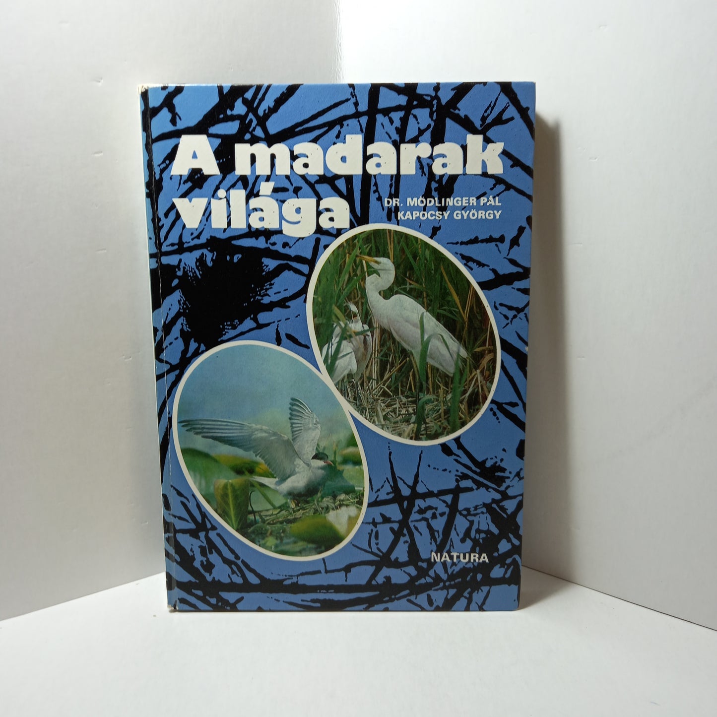 A madarak világa