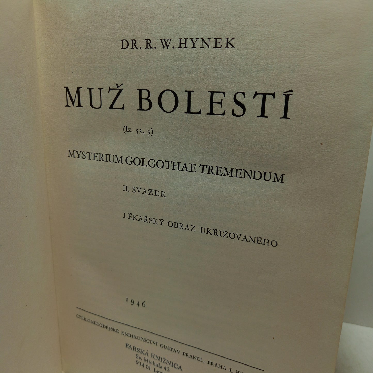 Muž bolestí II