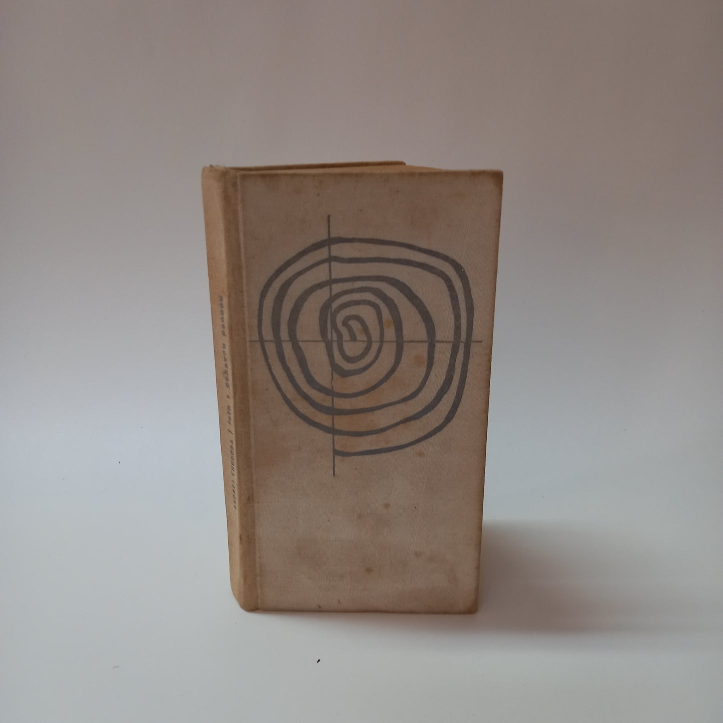 Leto s pehavou pannou