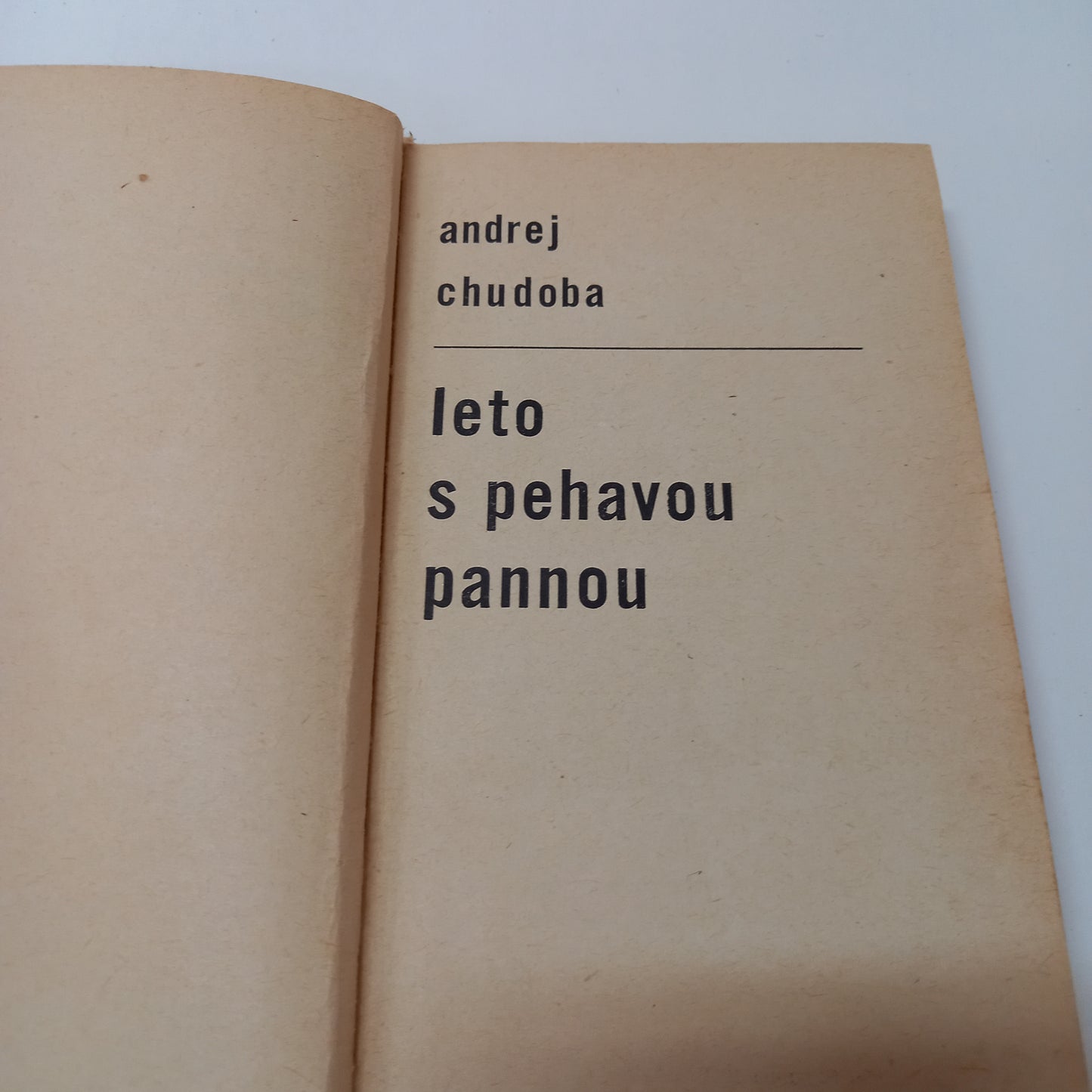 Leto s pehavou pannou