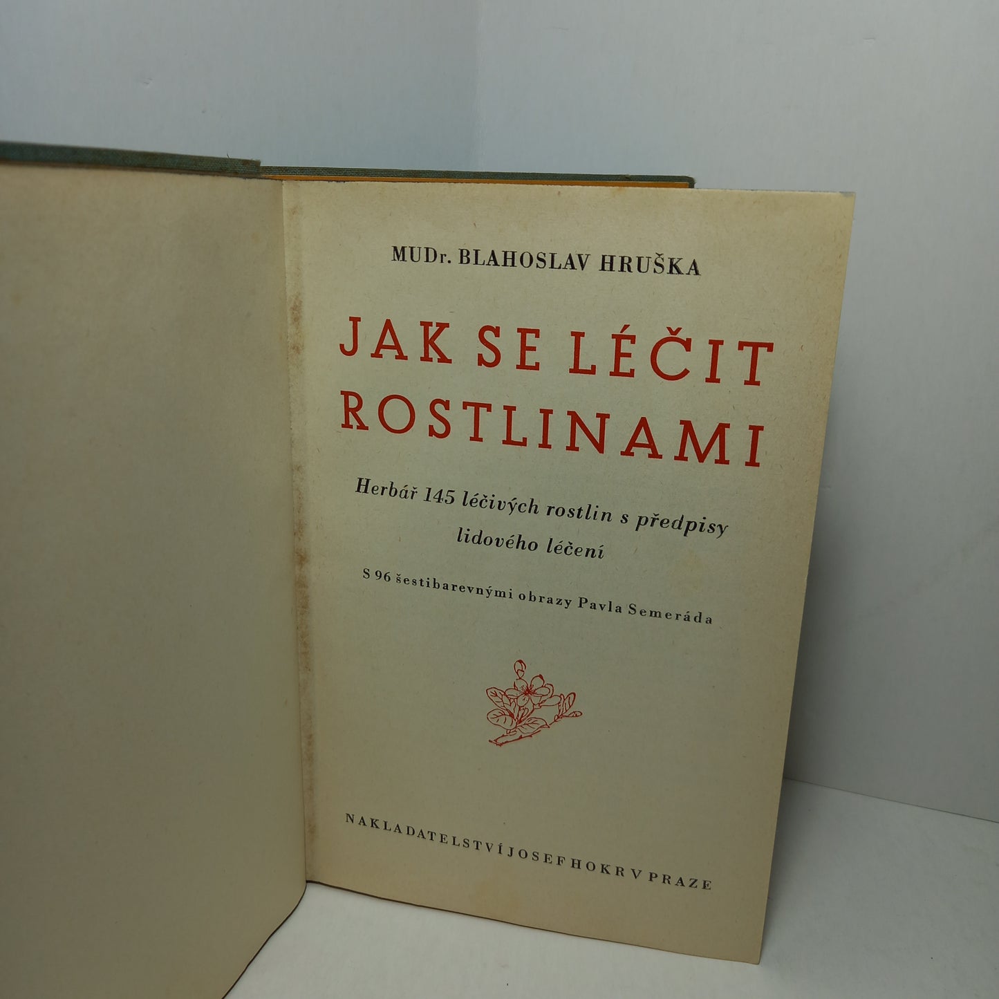 Jak se léčit rostlinami
