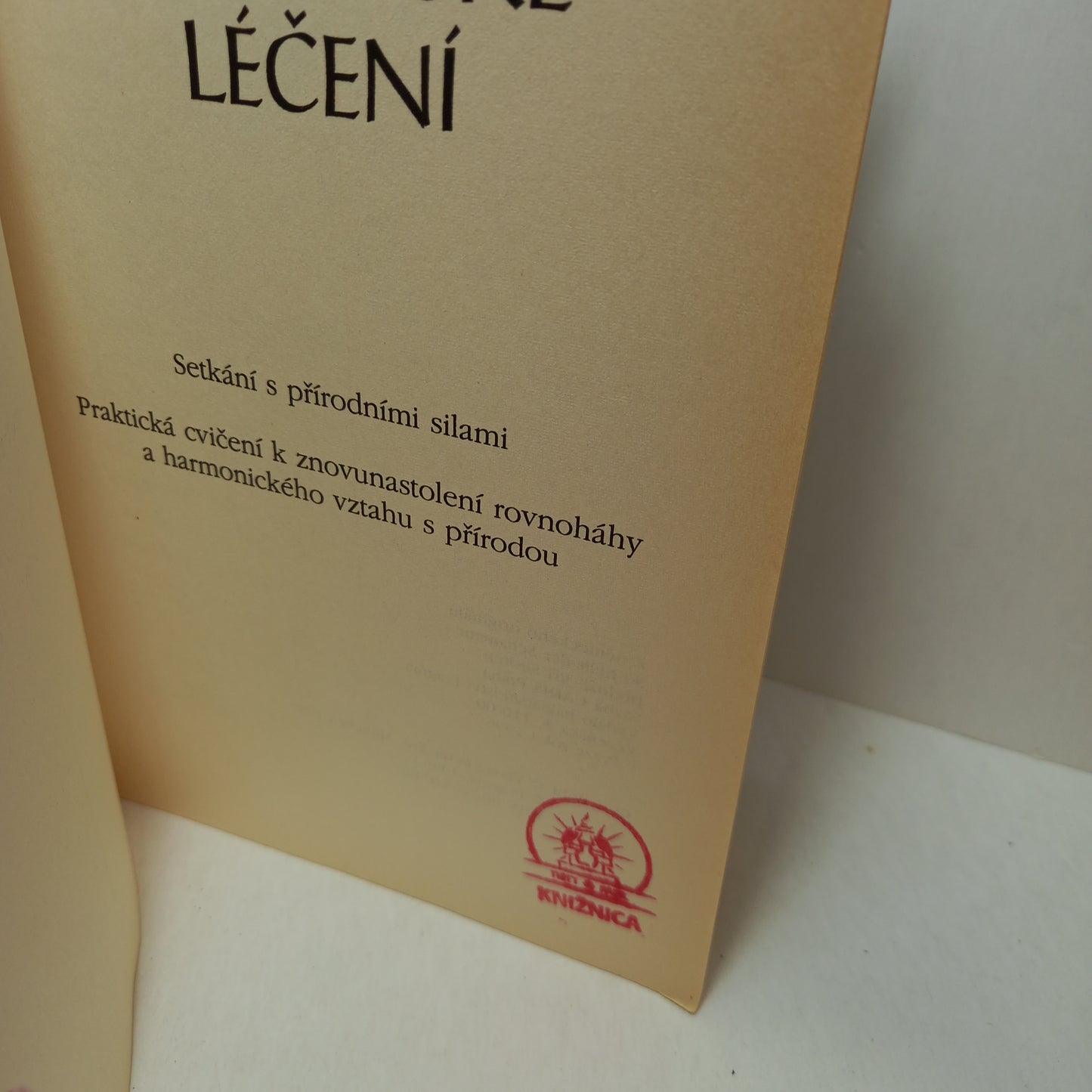 Šamanské léčení