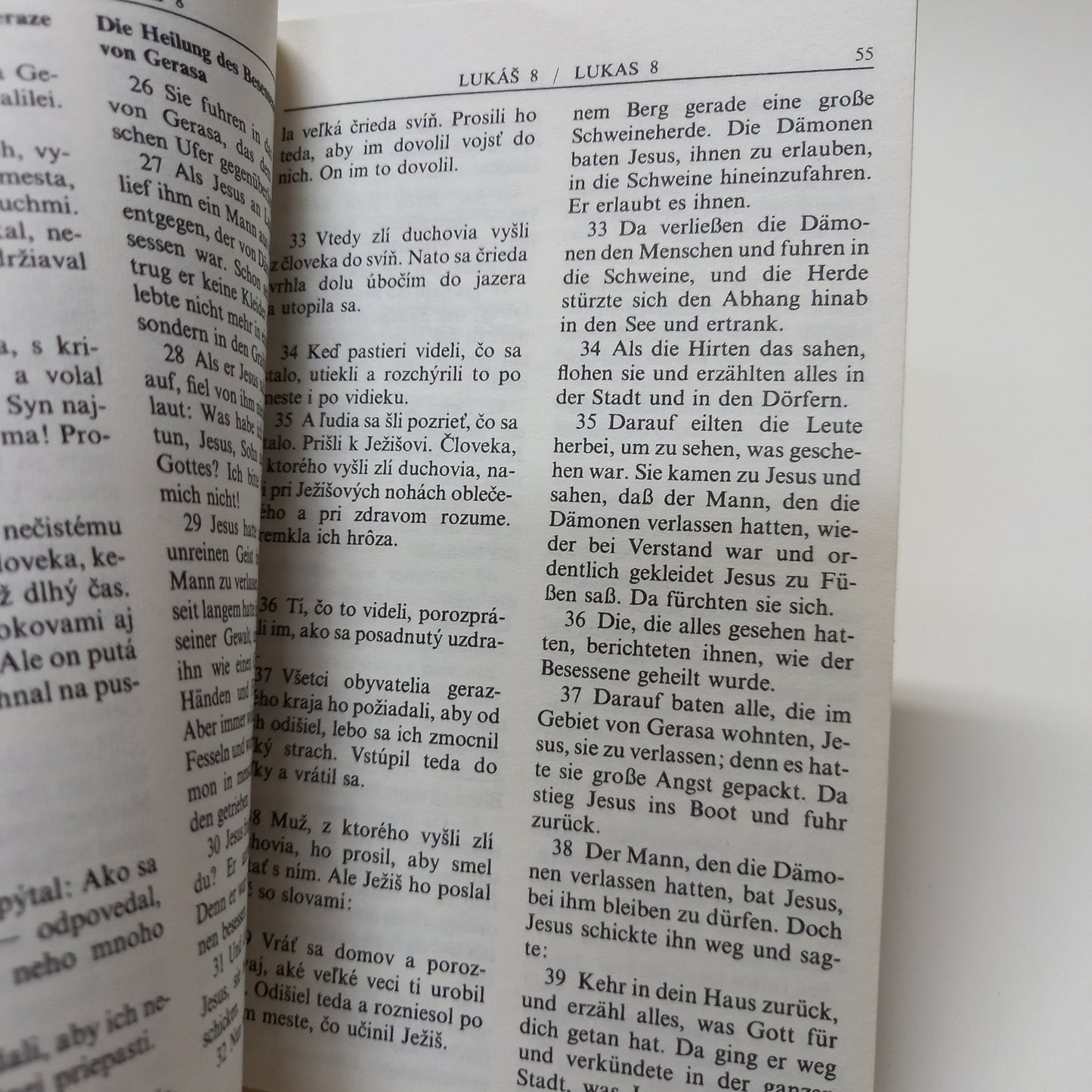 Evanjelium podľa Lukáša - Das evangelium nach Lukas