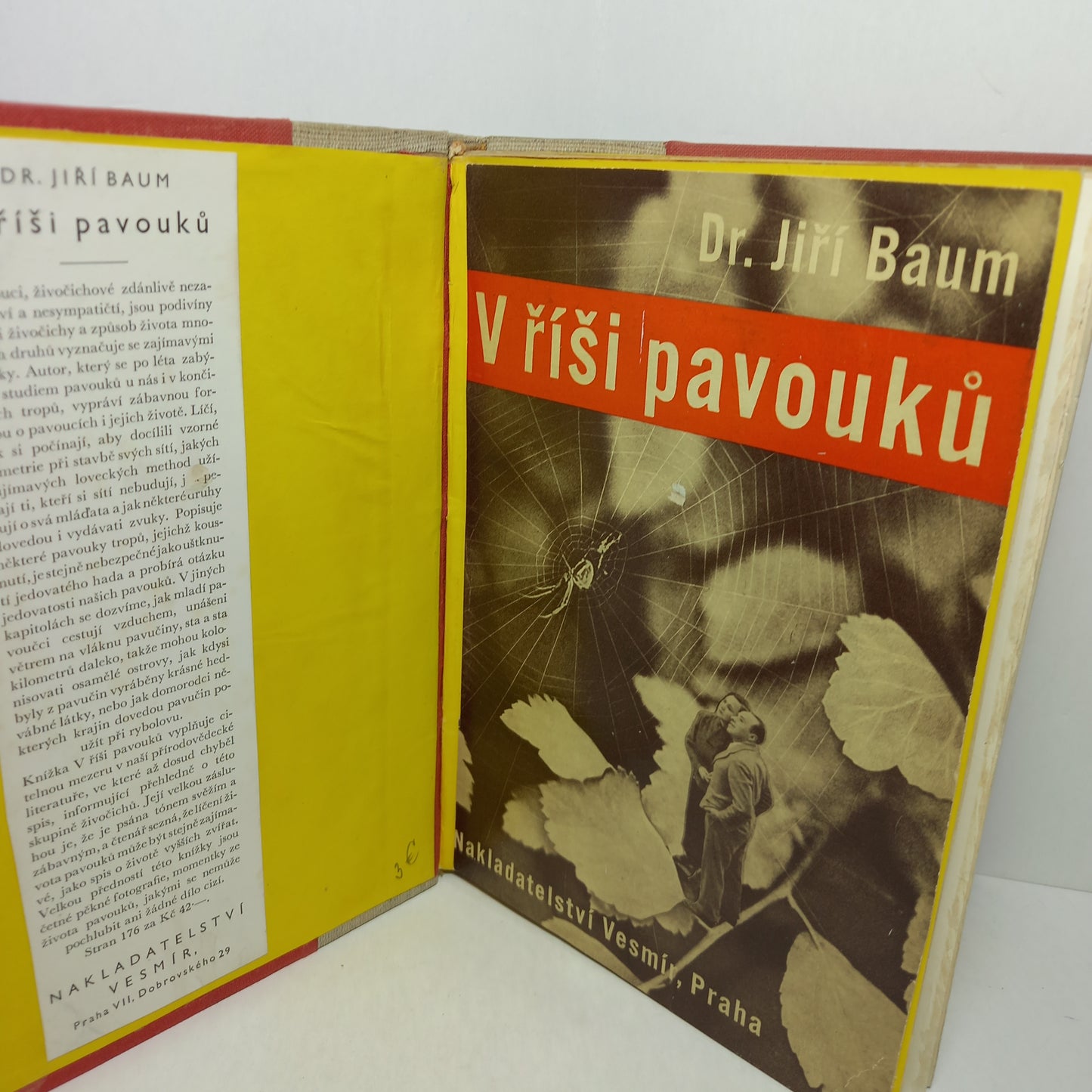 V říši pavouků
