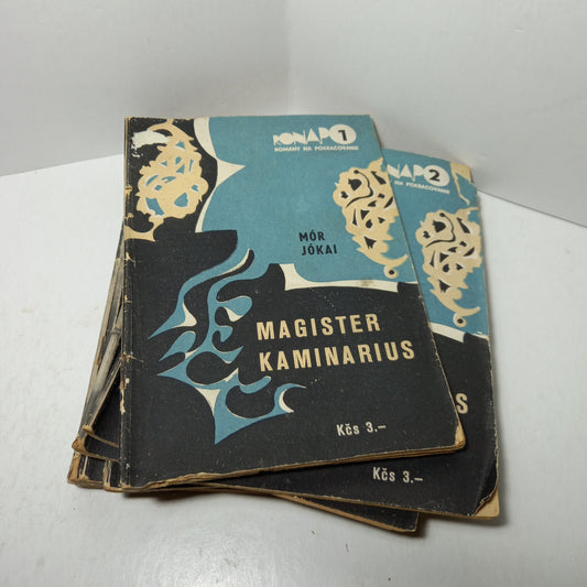 Magister Kaminarius