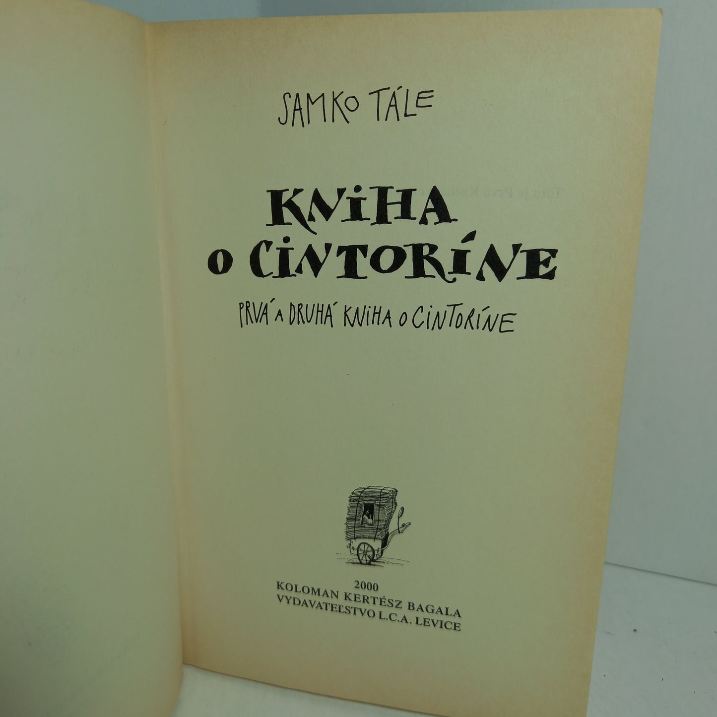 Kniha o cintoríne