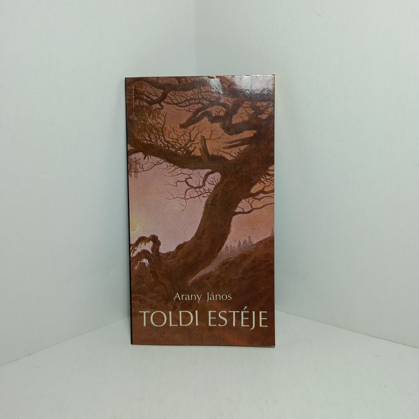 Toldi estéje