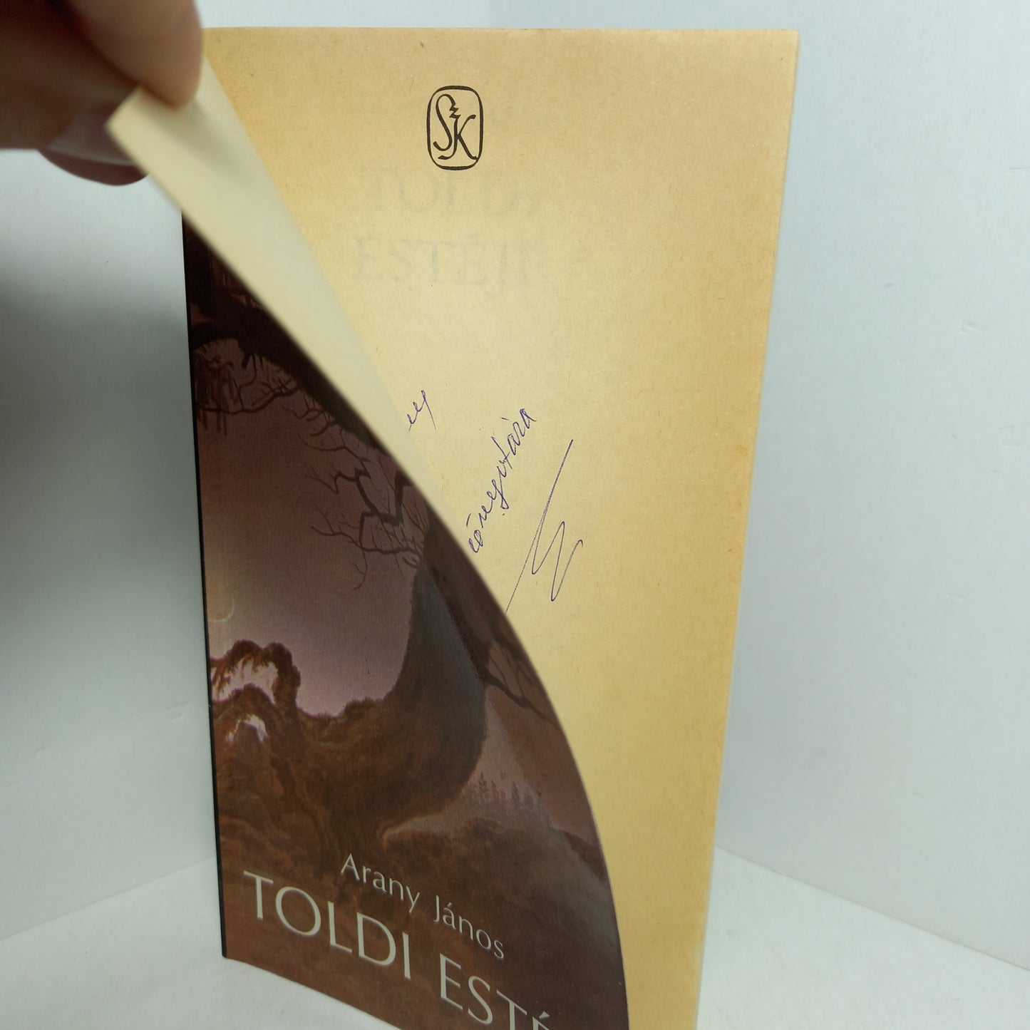 Toldi estéje