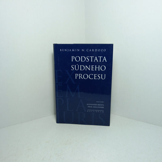 Podstata súdneho procesu