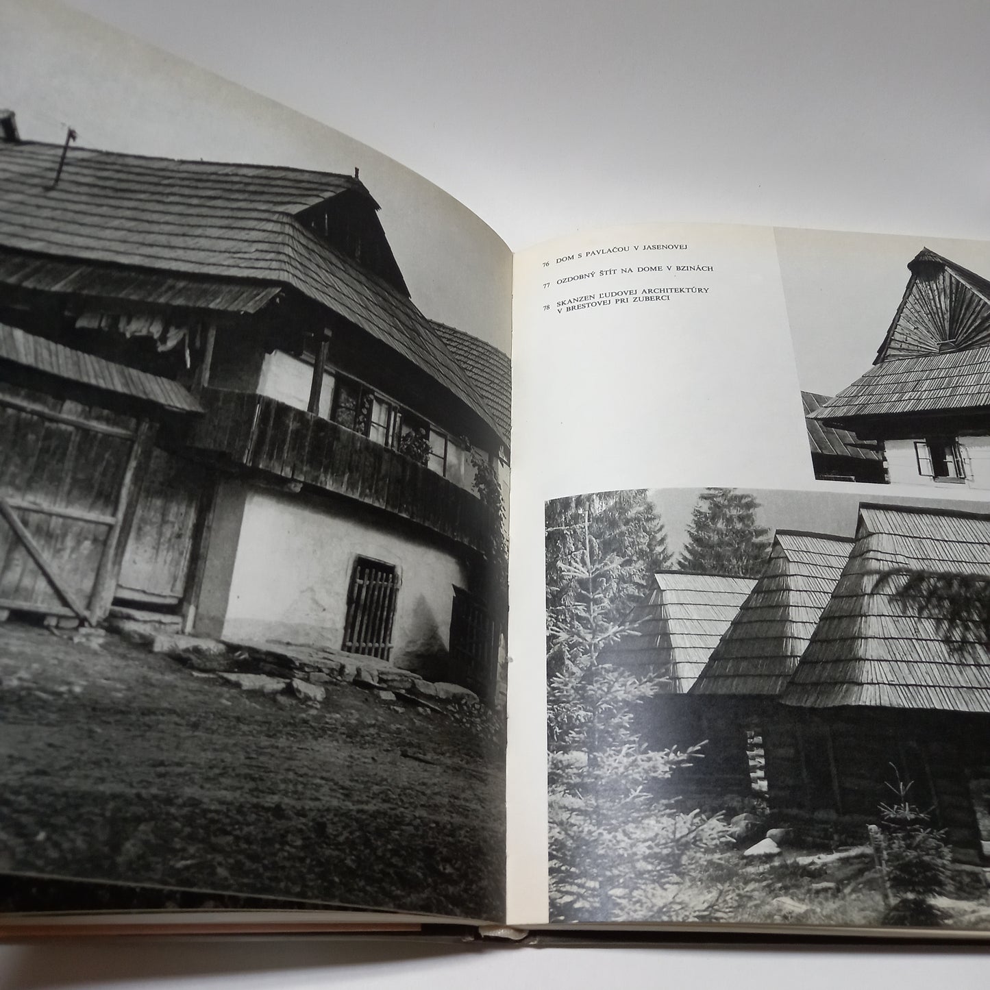 Orava