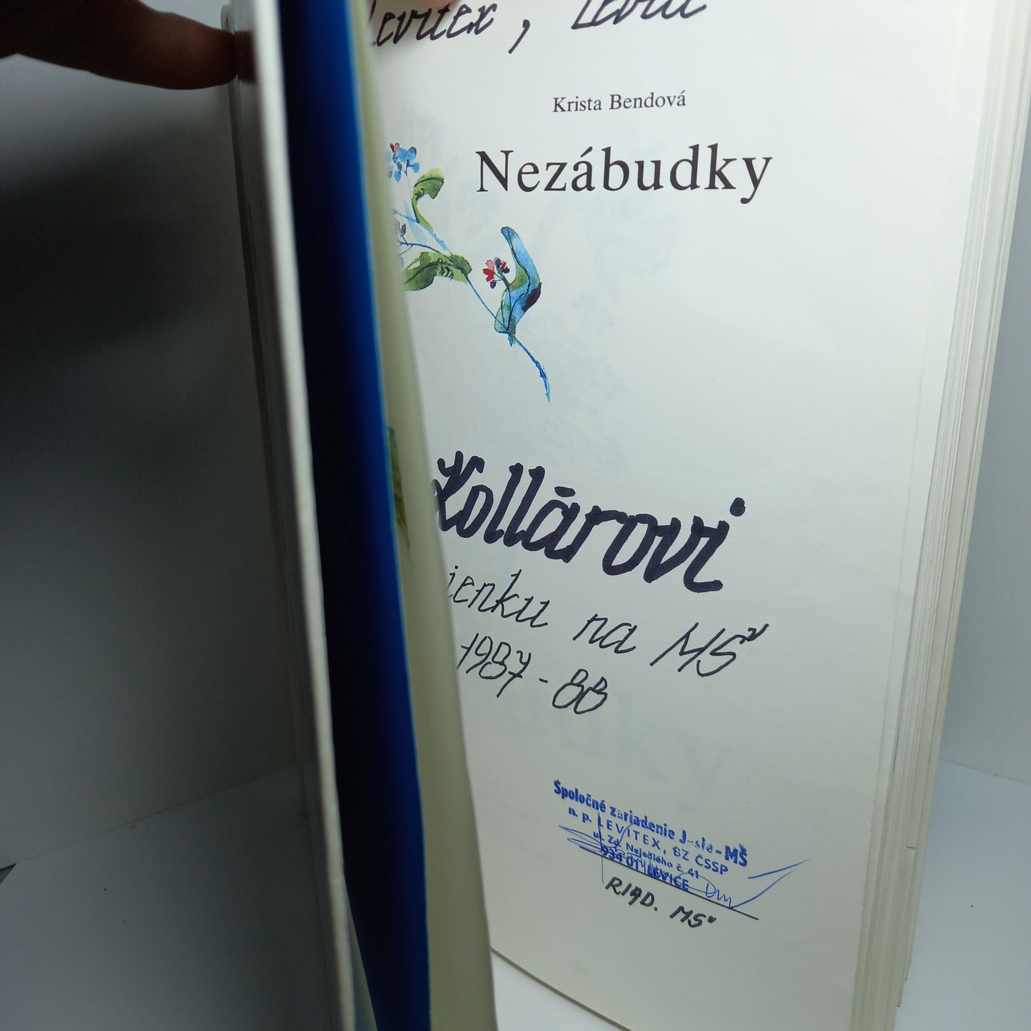 Nezábudky