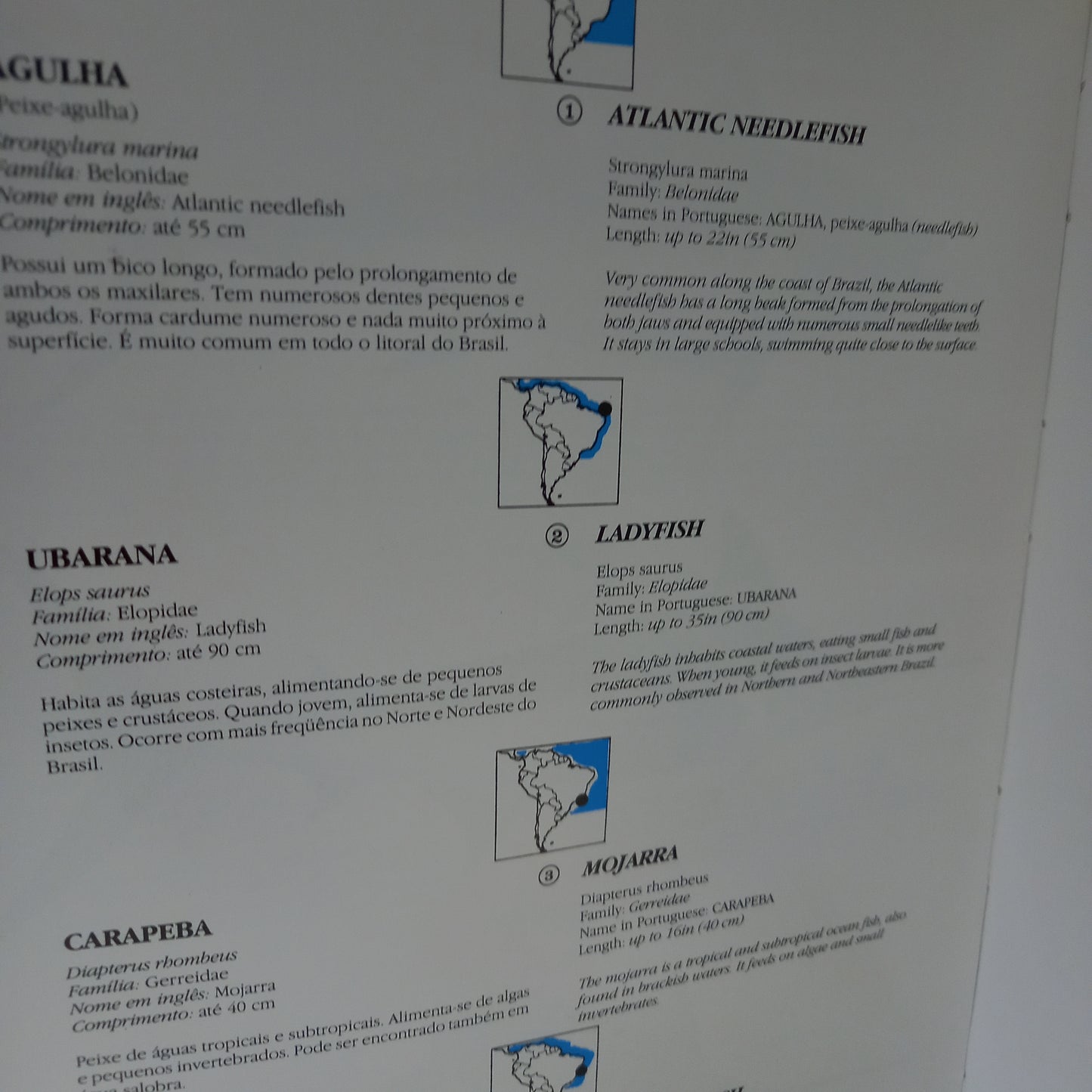 Species of Brazilian Fauna