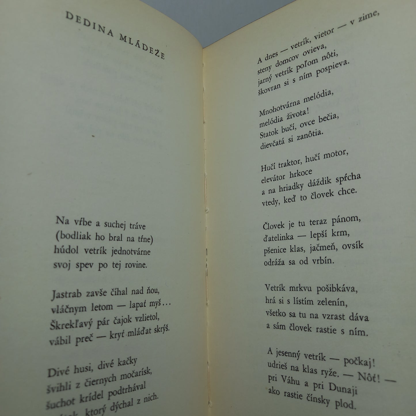 Riava neutícha