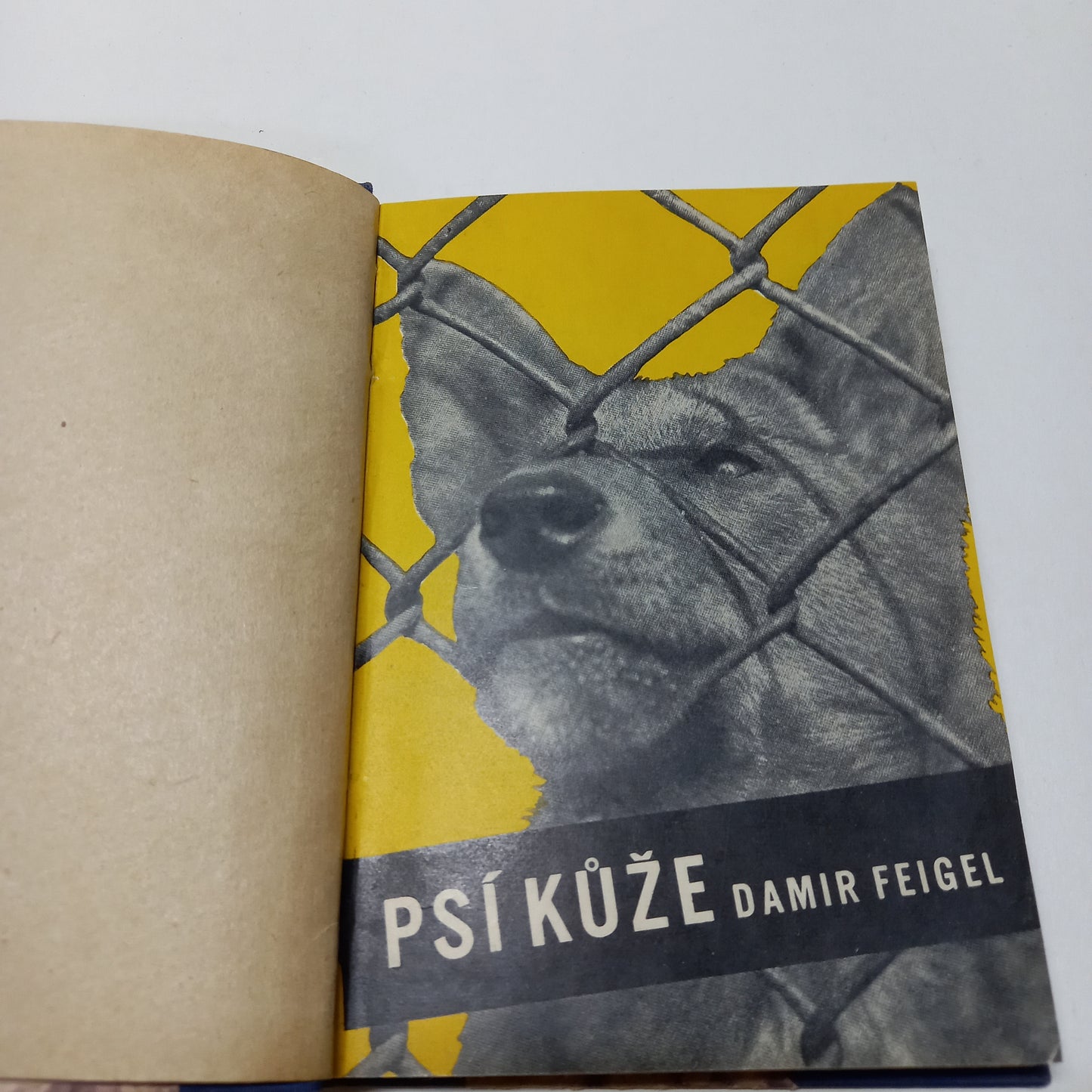 Psí kůže