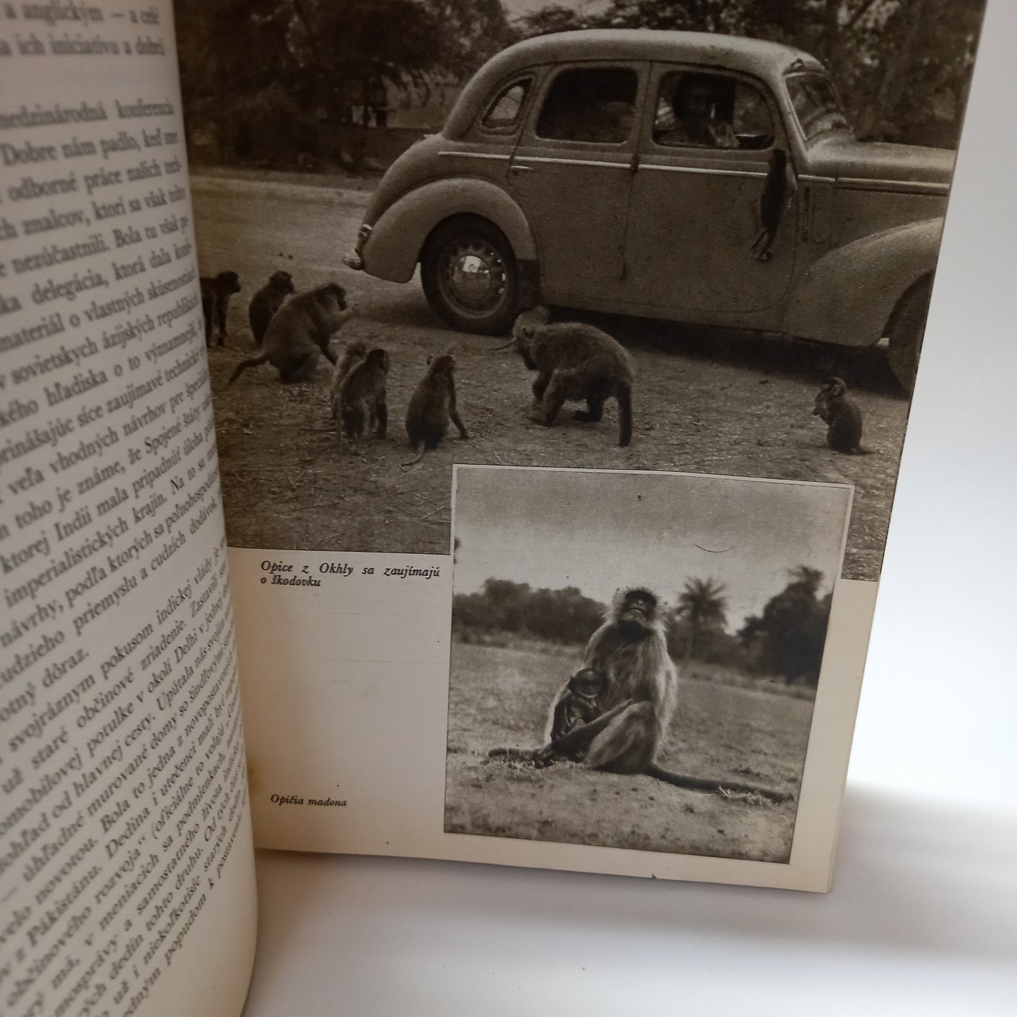 India - krajina dávnych múdrostí