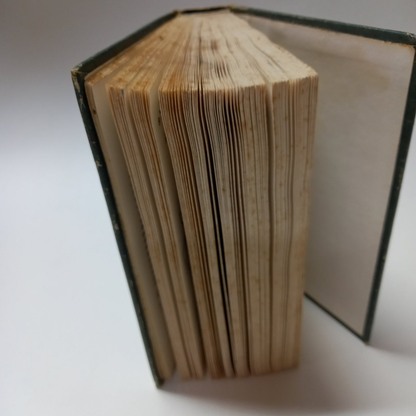 Kapesní atlas ploštic a křísů