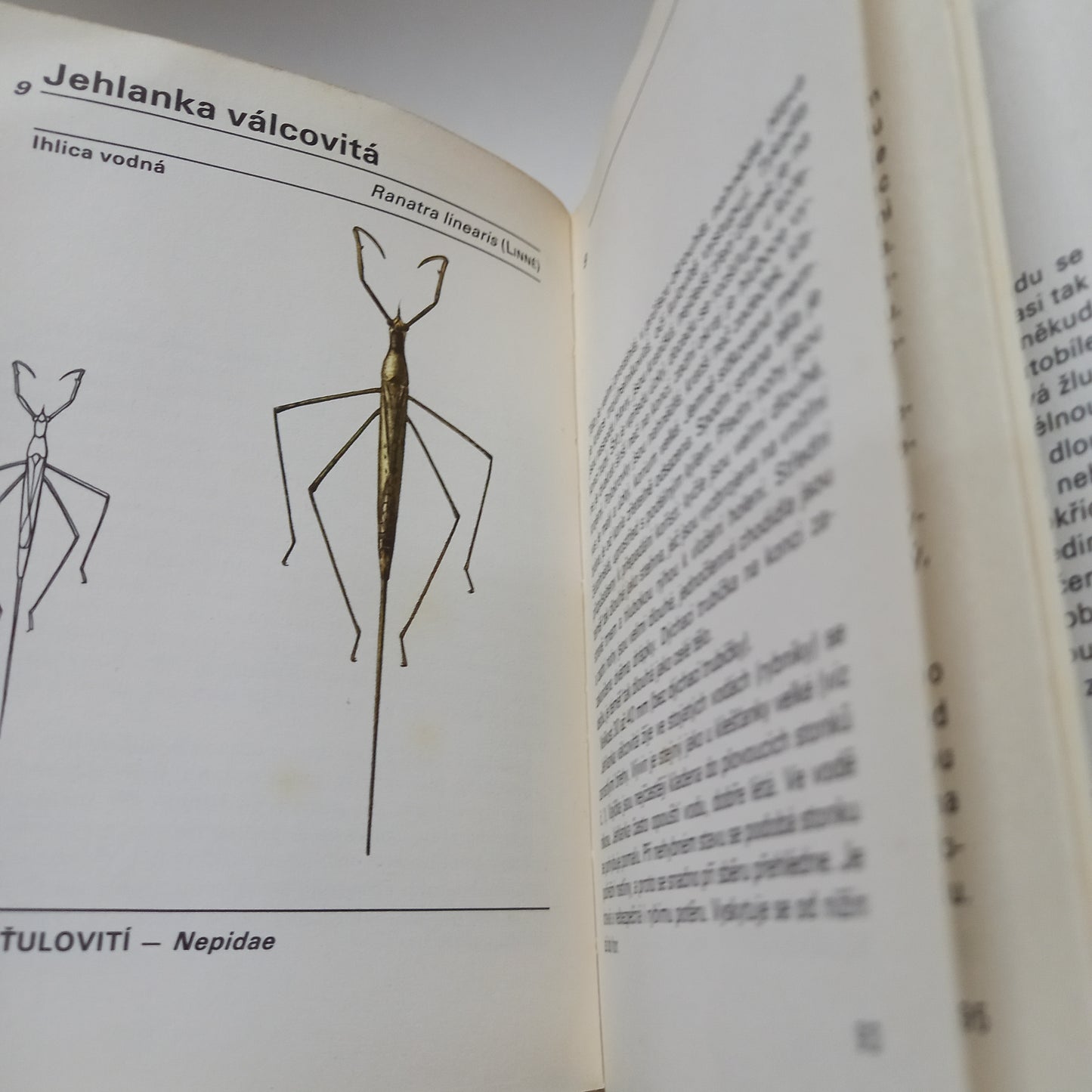 Kapesní atlas ploštic a křísů