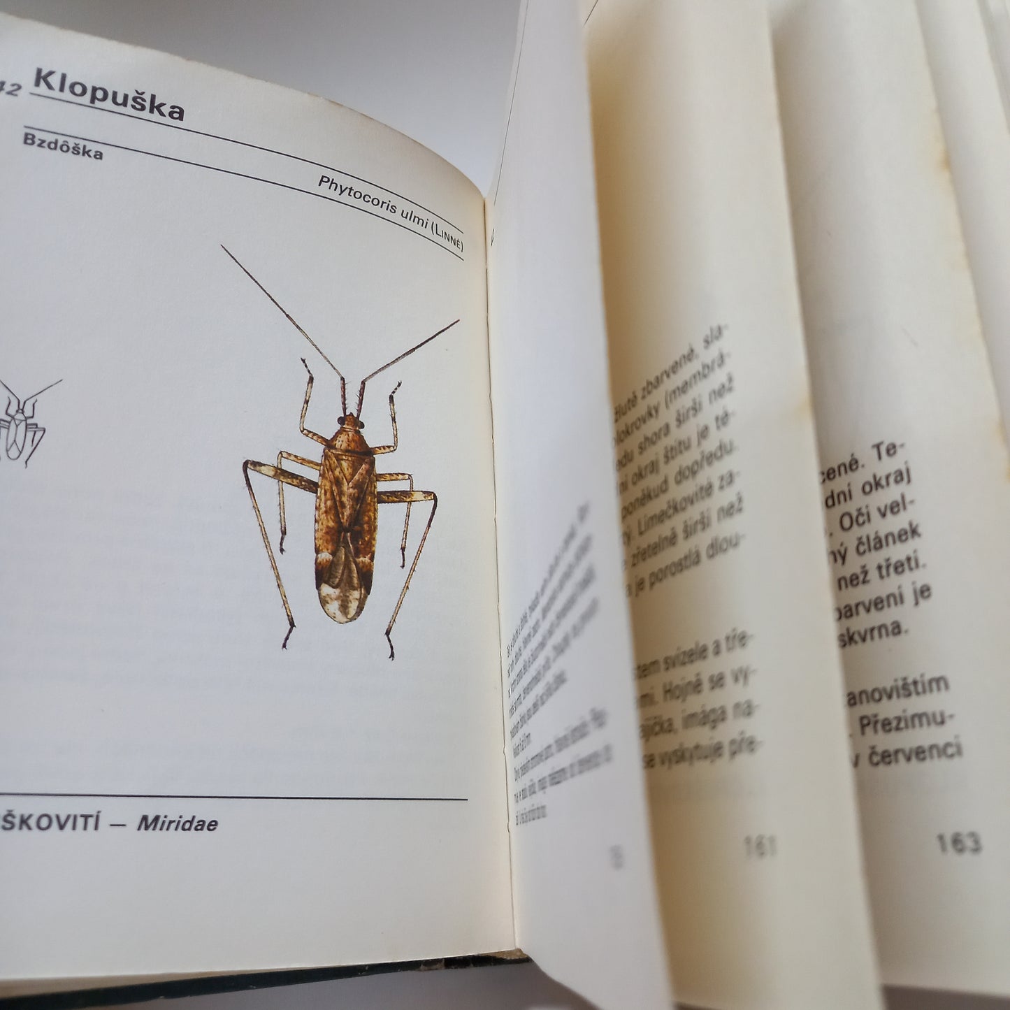Kapesní atlas ploštic a křísů