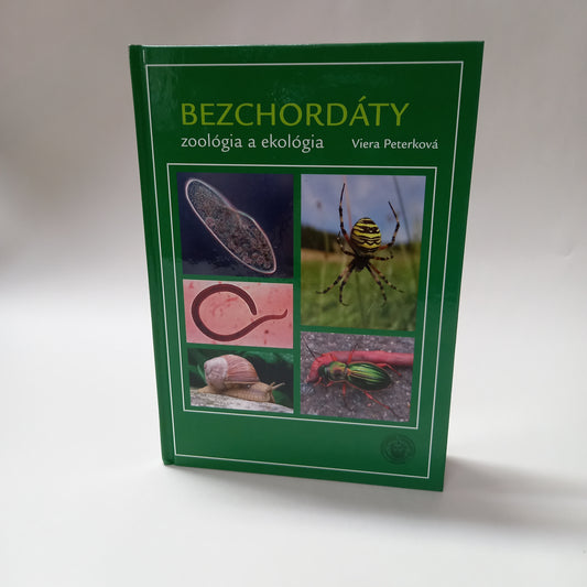 Bezchordáty, zoológia a ekológia