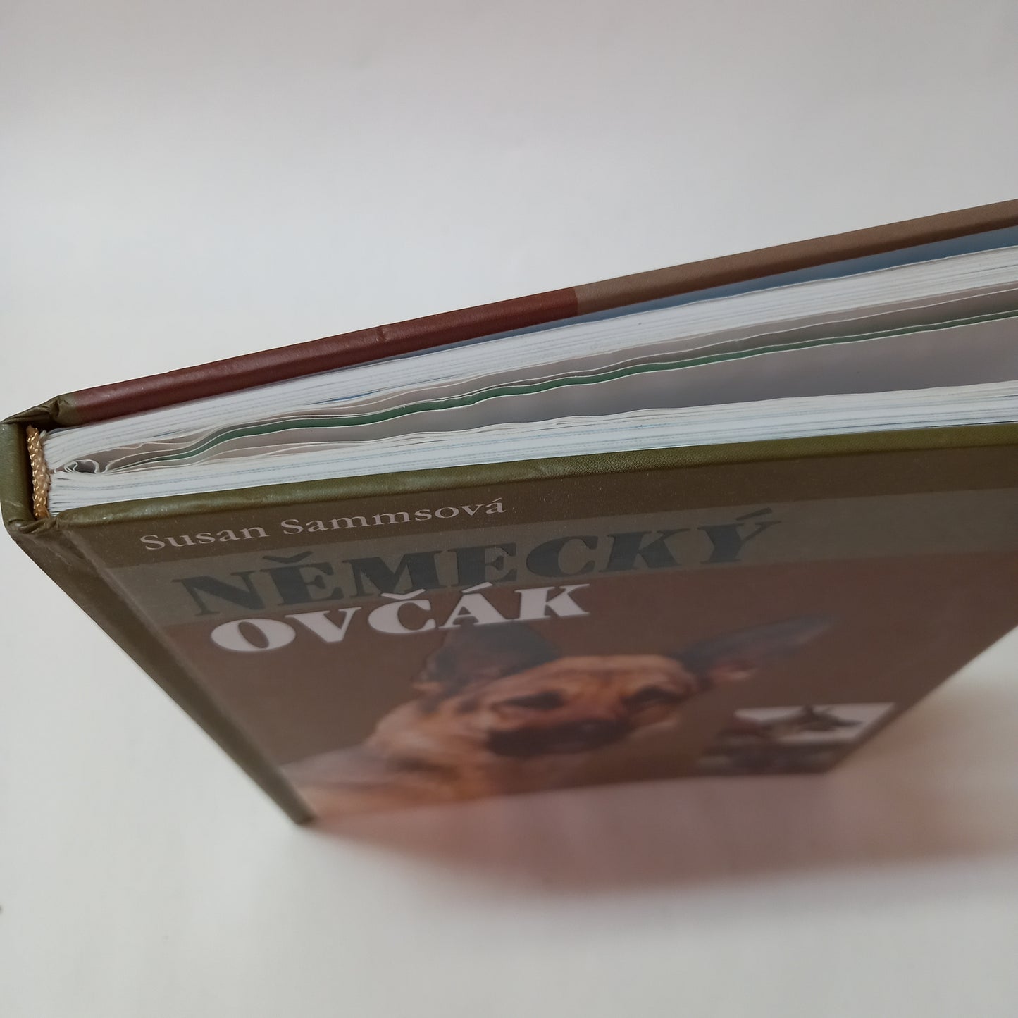 Německý ovčák